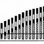 whiteley_ghadially_1954_haarwachstum_chinchilla.png